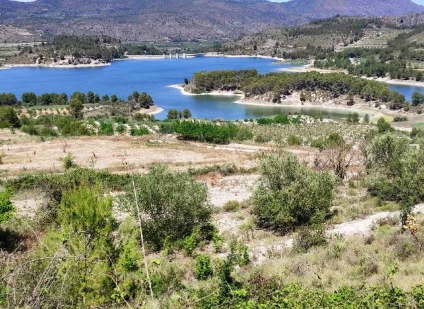 Herverkoop - Perceel / Grond - Planes