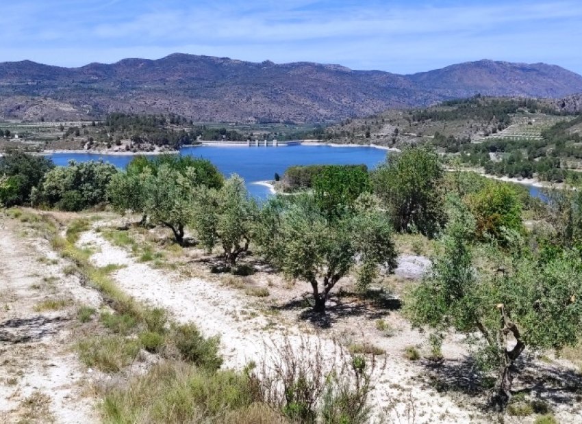 Herverkoop - Perceel / Grond - Planes