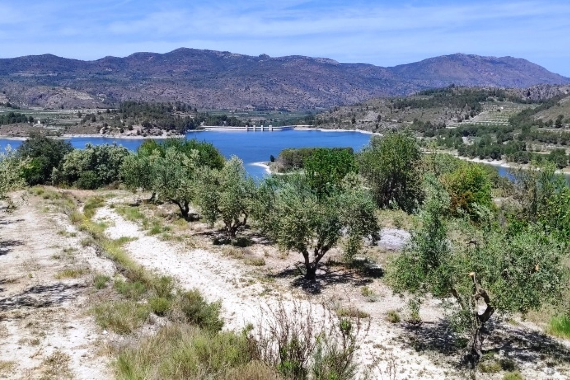 Herverkoop - Perceel / Grond - Planes