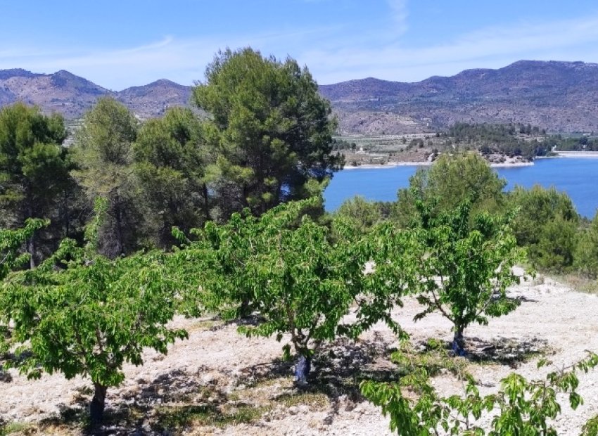 Herverkoop - Perceel / Grond - Planes