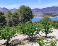 Herverkoop - Perceel / Grond - Planes