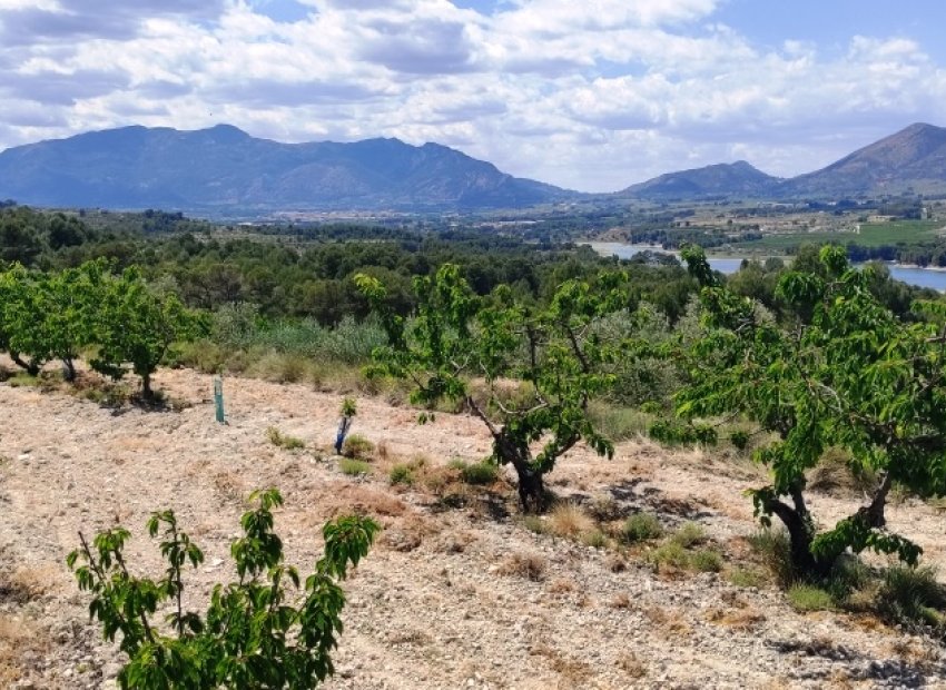 Herverkoop - Perceel / Grond - Planes