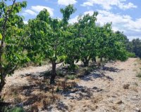 Herverkoop - Perceel / Grond - Planes