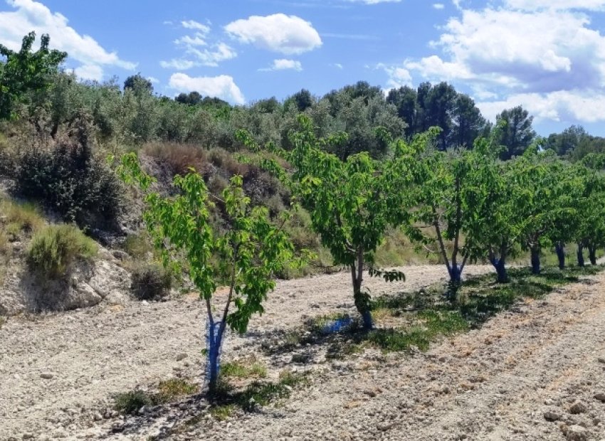 Herverkoop - Perceel / Grond - Planes