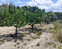 Herverkoop - Perceel / Grond - Planes