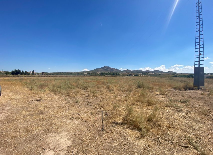 Herverkoop - Perceel / Grond - Salinas