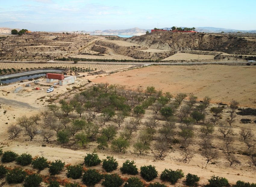 Herverkoop - Perceel / Grond - Torremendo - Torremendo - Country