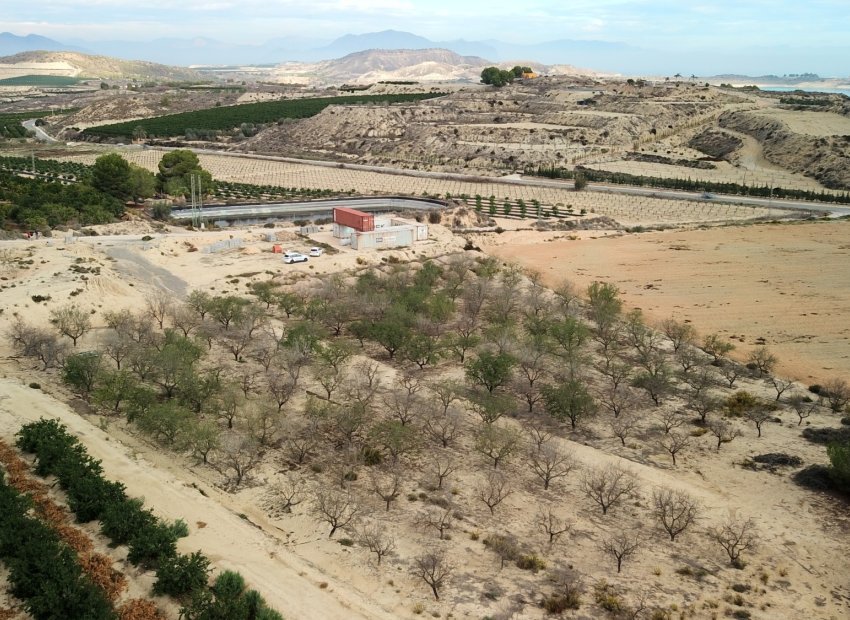 Herverkoop - Perceel / Grond - Torremendo - Torremendo - Country