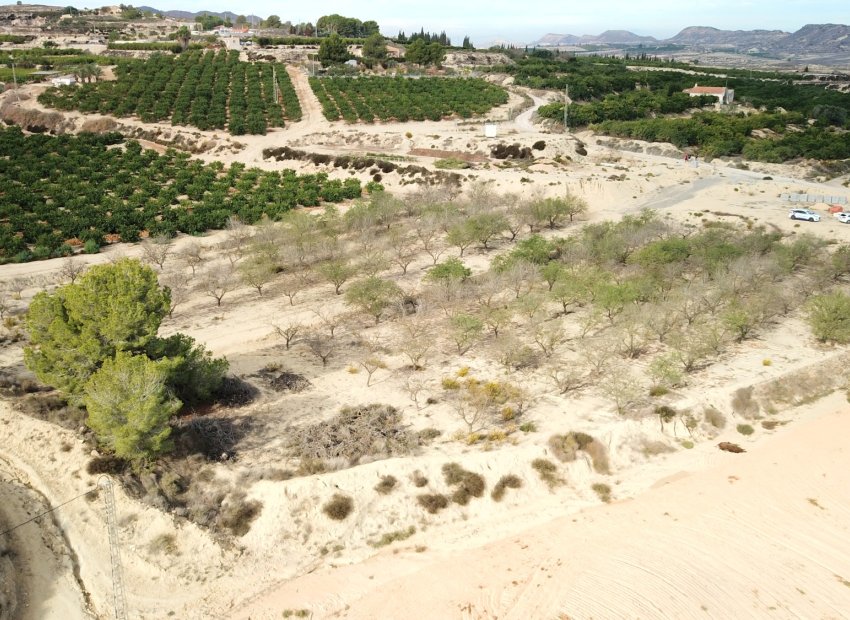 Herverkoop - Perceel / Grond - Torremendo - Torremendo - Country