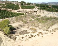 Herverkoop - Perceel / Grond - Torremendo - Torremendo - Country