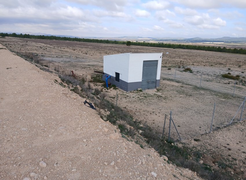 Herverkoop - Perceel / Grond - Yecla