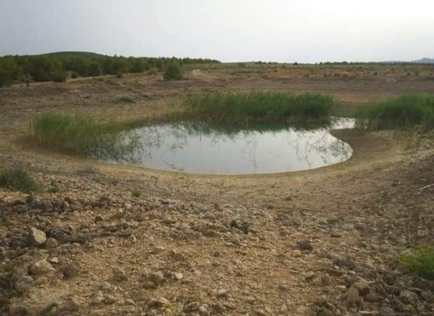 Herverkoop - Perceel / Grond - Yecla