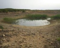 Herverkoop - Perceel / Grond - Yecla