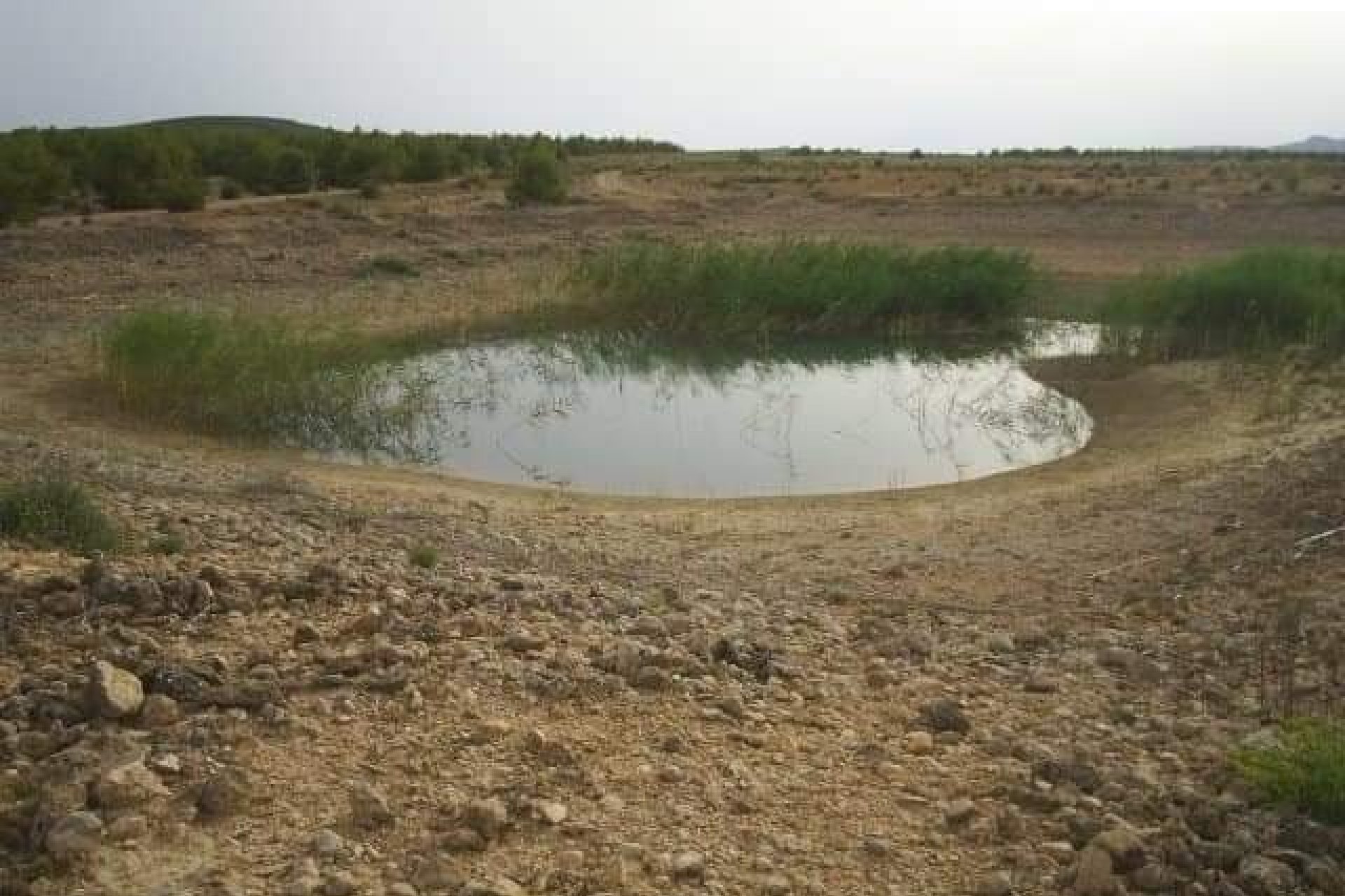 Herverkoop - Perceel / Grond - Yecla