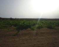 Herverkoop - Perceel / Grond - Yecla