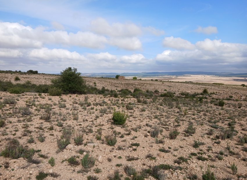 Herverkoop - Perceel / Grond - Yecla