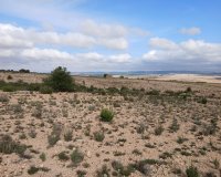 Herverkoop - Perceel / Grond - Yecla