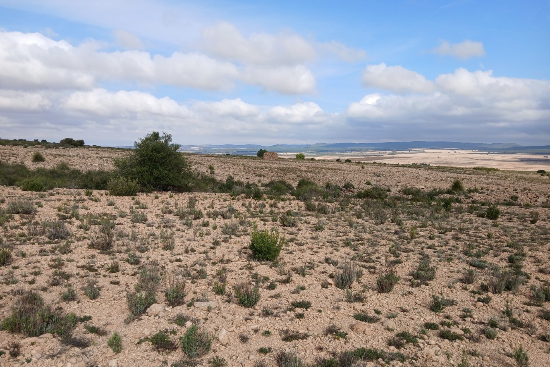 Herverkoop - Perceel / Grond - Yecla