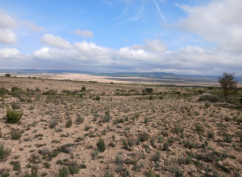 Herverkoop - Perceel / Grond - Yecla