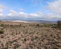 Herverkoop - Perceel / Grond - Yecla