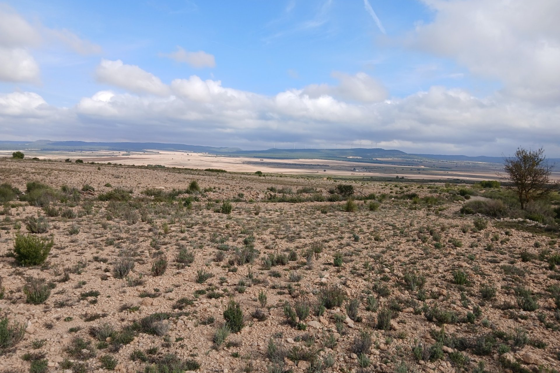Herverkoop - Perceel / Grond - Yecla