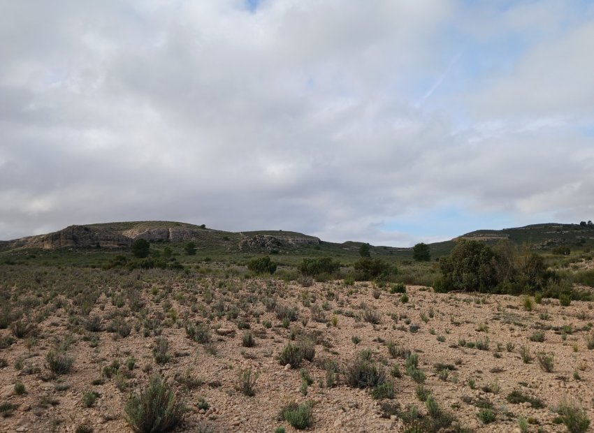 Herverkoop - Perceel / Grond - Yecla