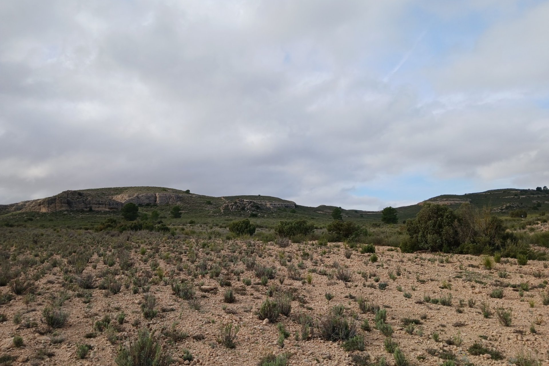 Herverkoop - Perceel / Grond - Yecla