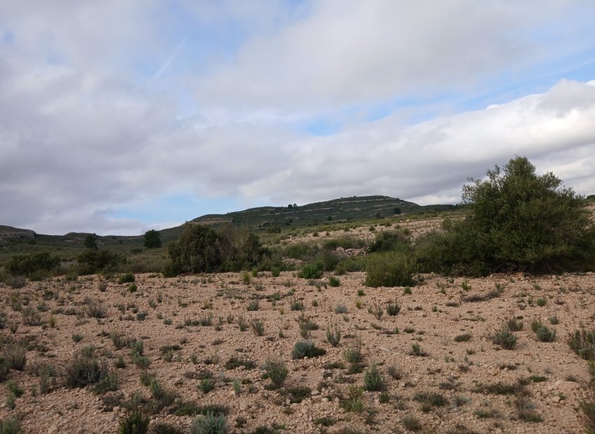 Herverkoop - Perceel / Grond - Yecla