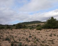 Herverkoop - Perceel / Grond - Yecla