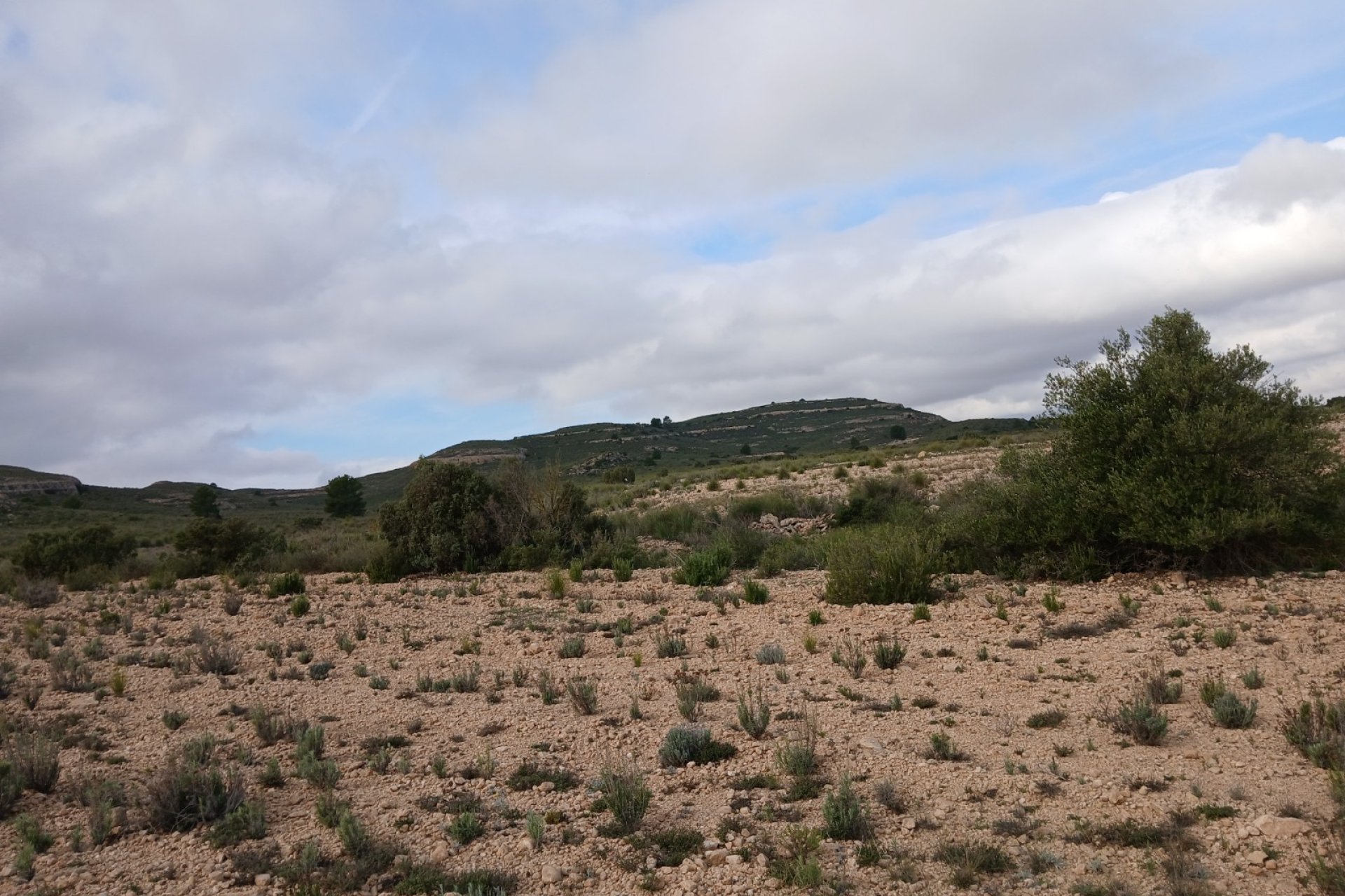 Herverkoop - Perceel / Grond - Yecla