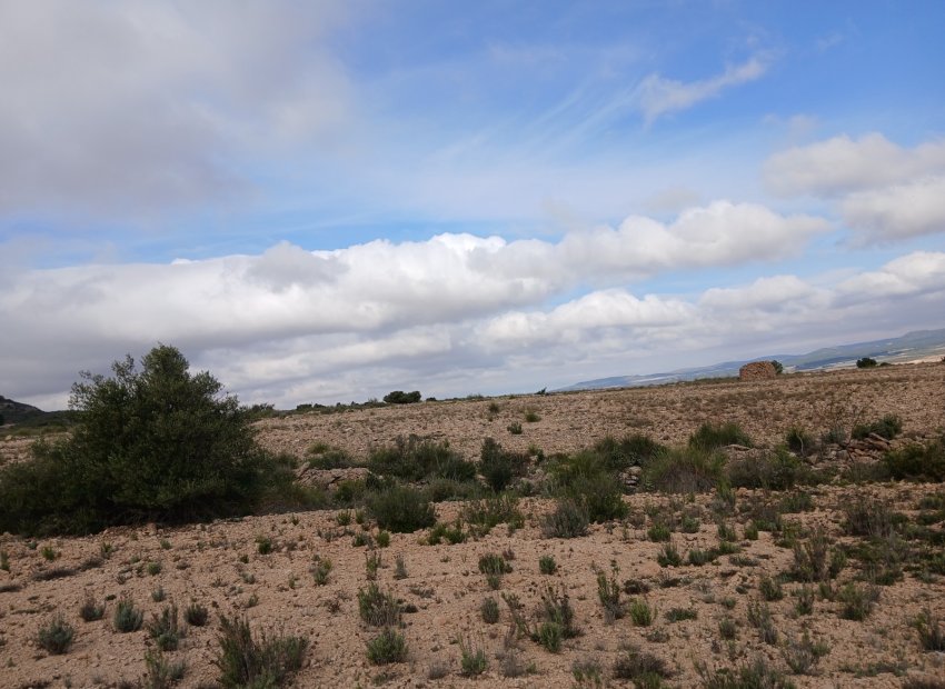 Herverkoop - Perceel / Grond - Yecla