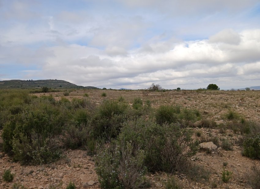 Herverkoop - Perceel / Grond - Yecla