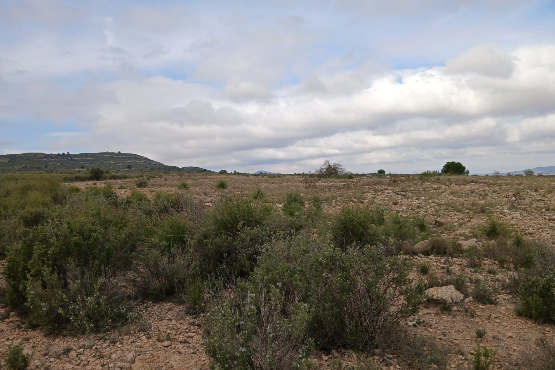 Herverkoop - Perceel / Grond - Yecla