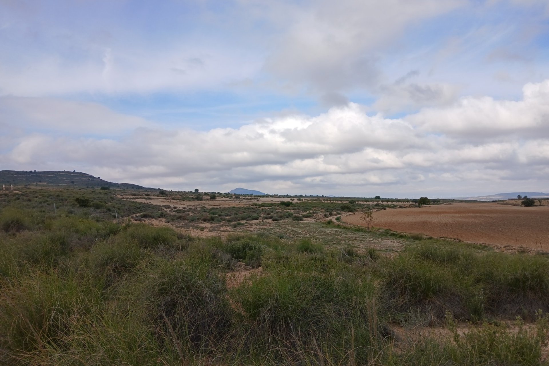 Herverkoop - Perceel / Grond - Yecla