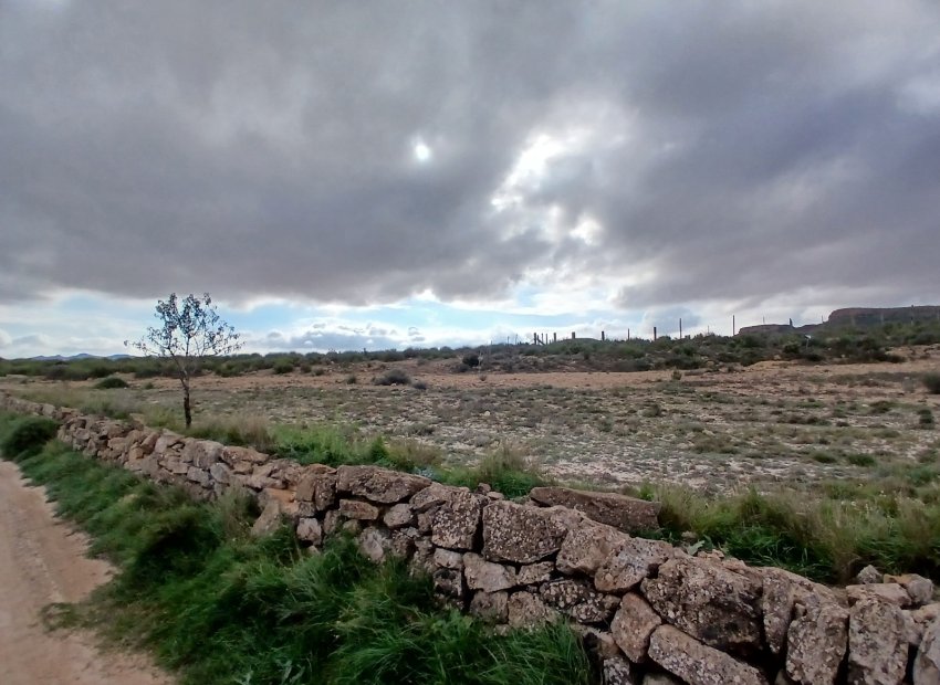 Herverkoop - Perceel / Grond - Yecla