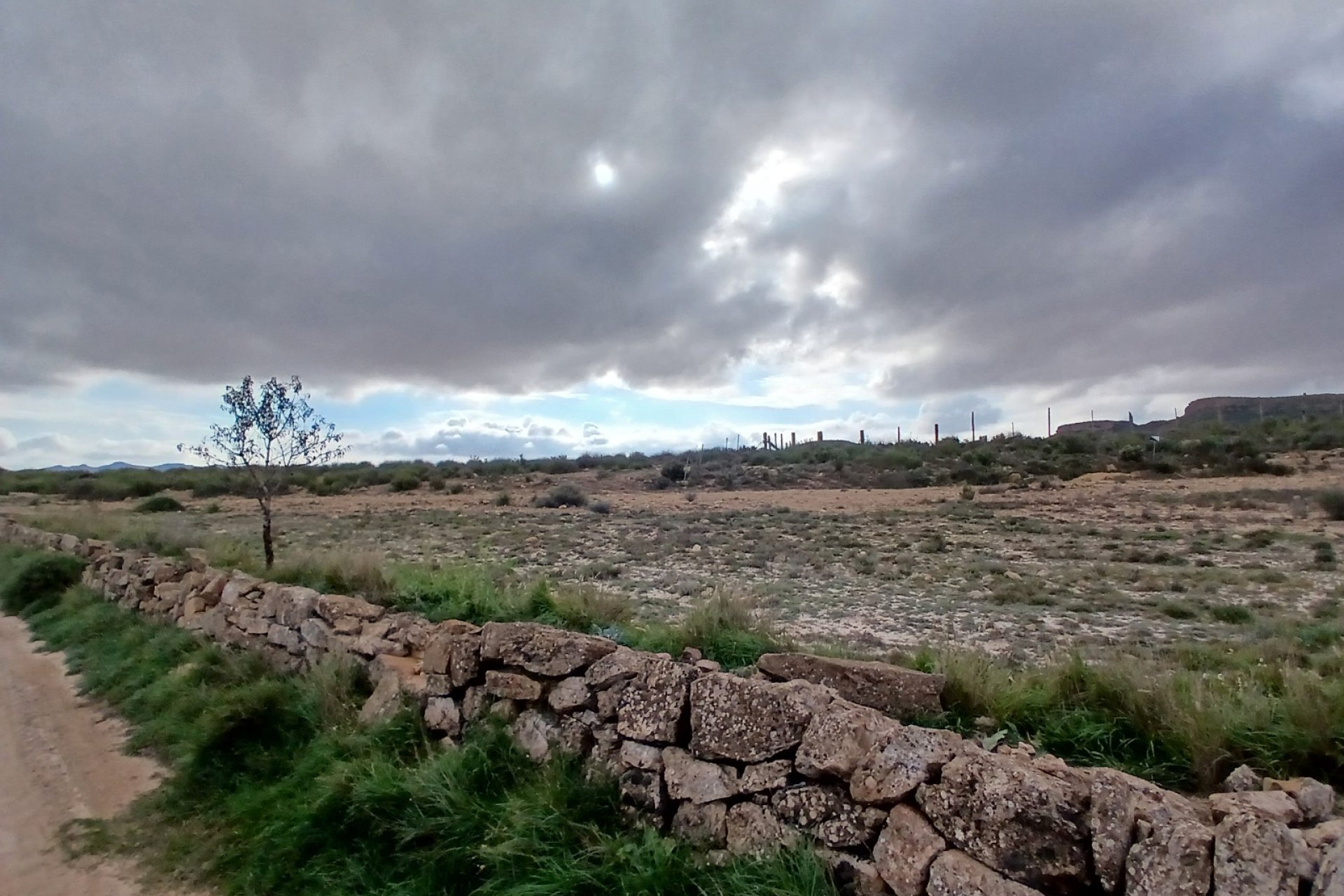 Herverkoop - Perceel / Grond - Yecla