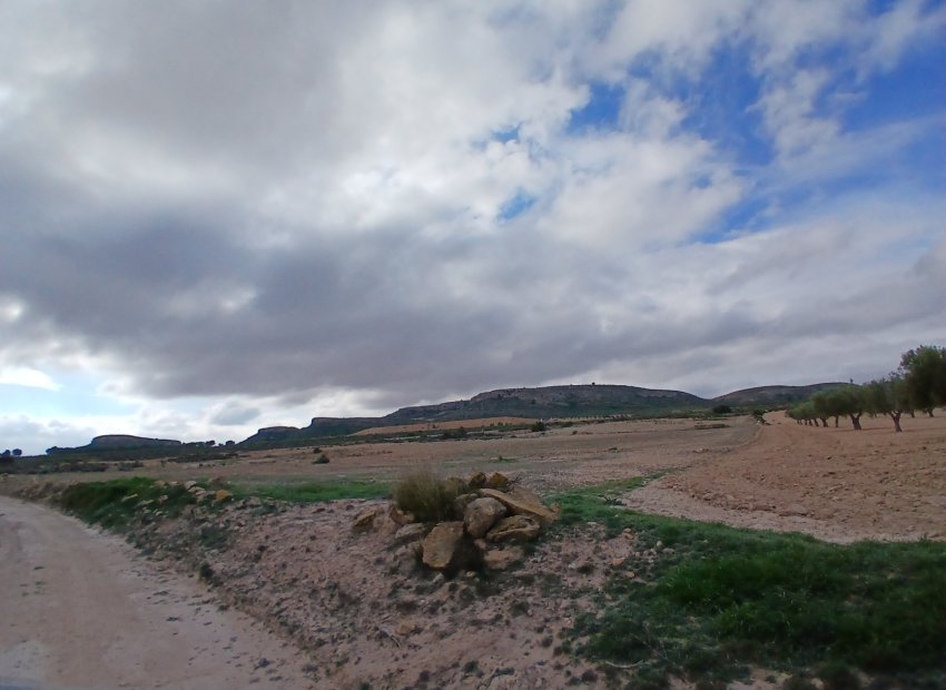 Herverkoop - Perceel / Grond - Yecla