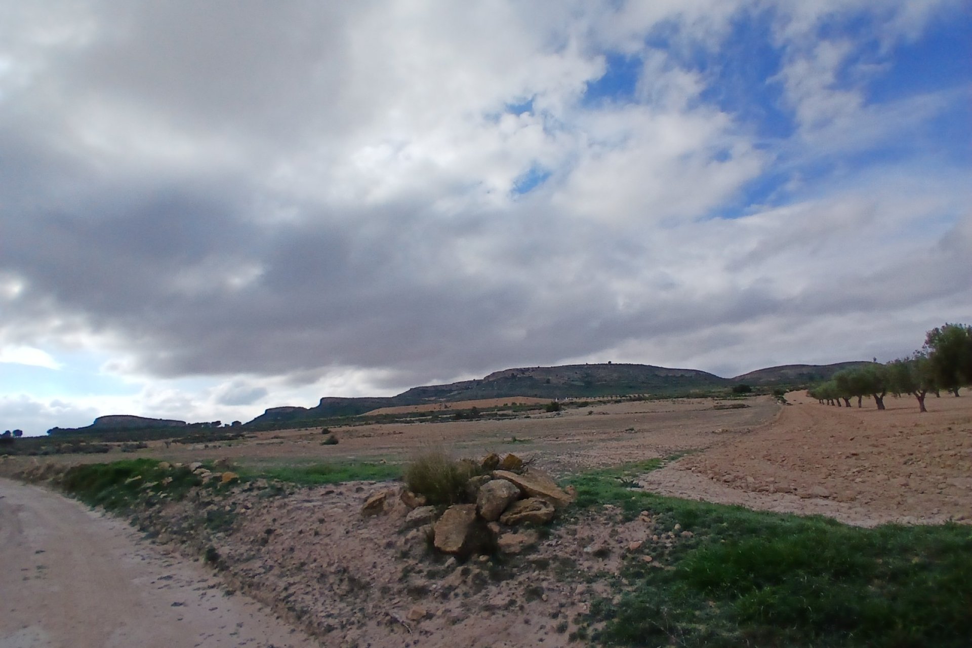 Herverkoop - Perceel / Grond - Yecla