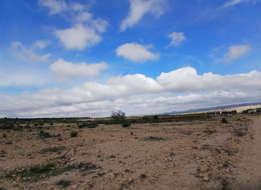 Herverkoop - Perceel / Grond - Yecla