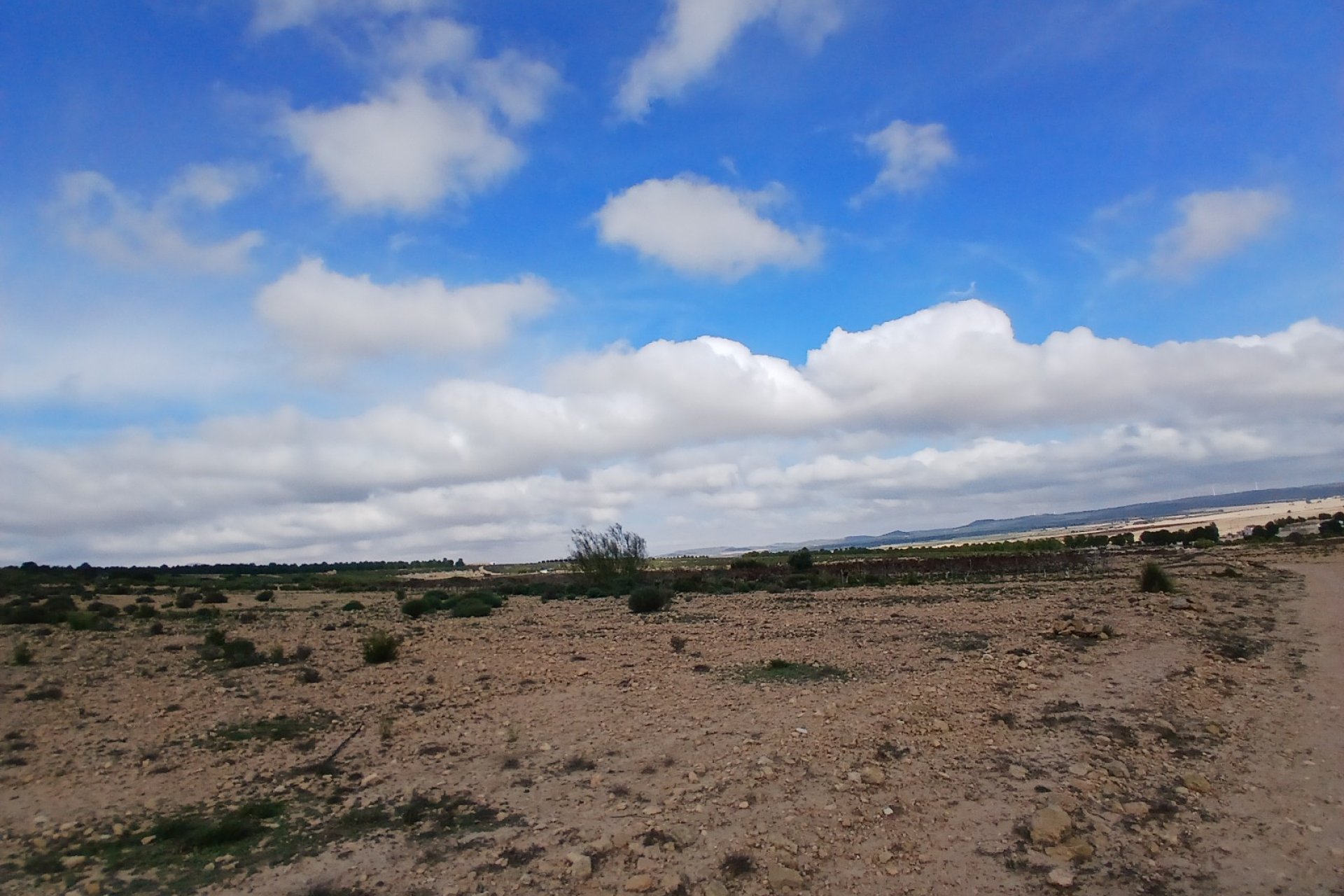 Herverkoop - Perceel / Grond - Yecla