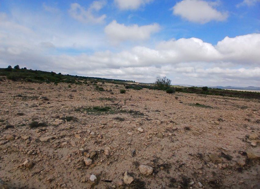 Herverkoop - Perceel / Grond - Yecla