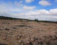 Herverkoop - Perceel / Grond - Yecla