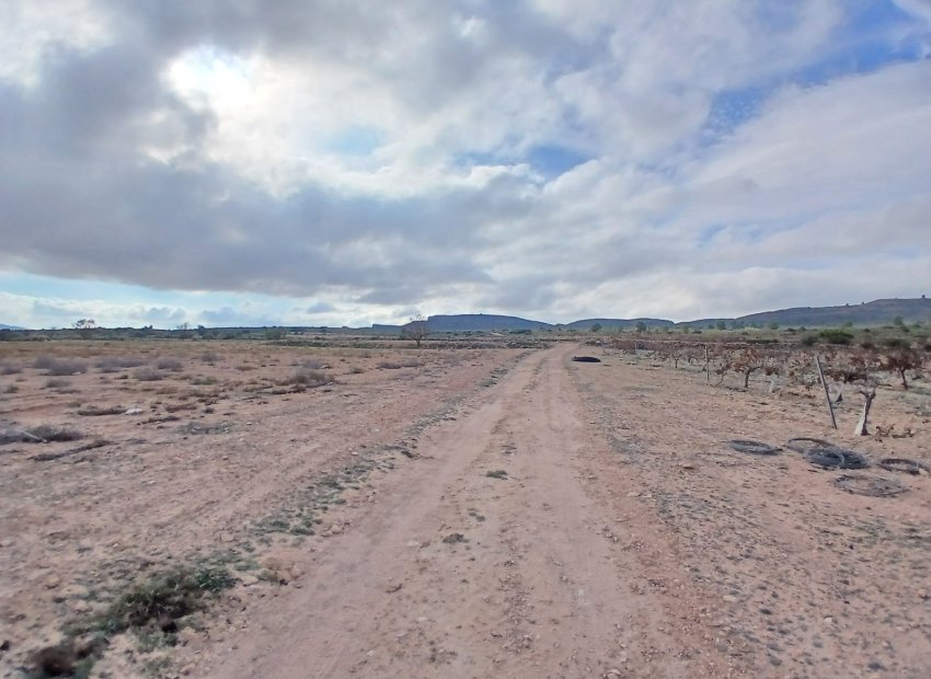 Herverkoop - Perceel / Grond - Yecla