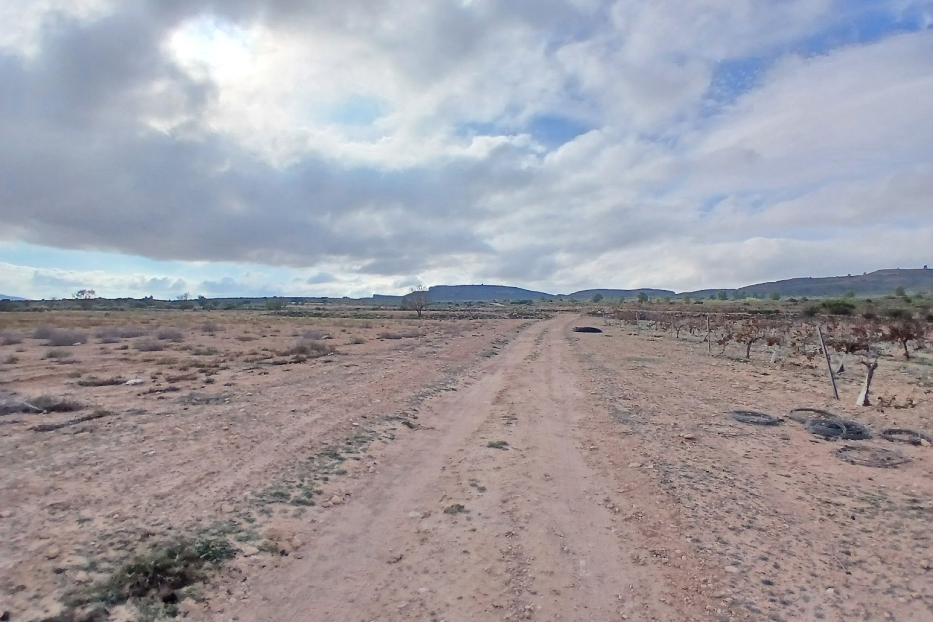 Herverkoop - Perceel / Grond - Yecla