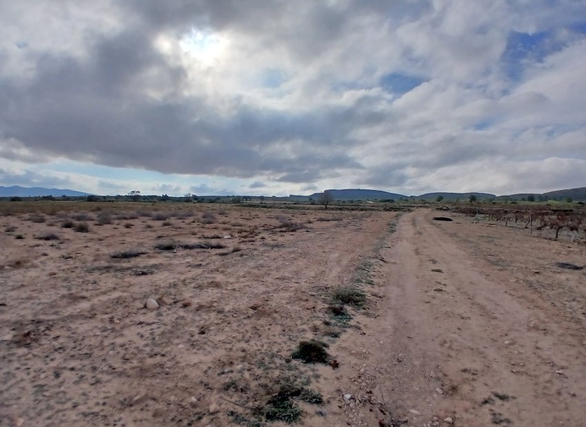 Herverkoop - Perceel / Grond - Yecla