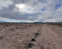 Herverkoop - Perceel / Grond - Yecla