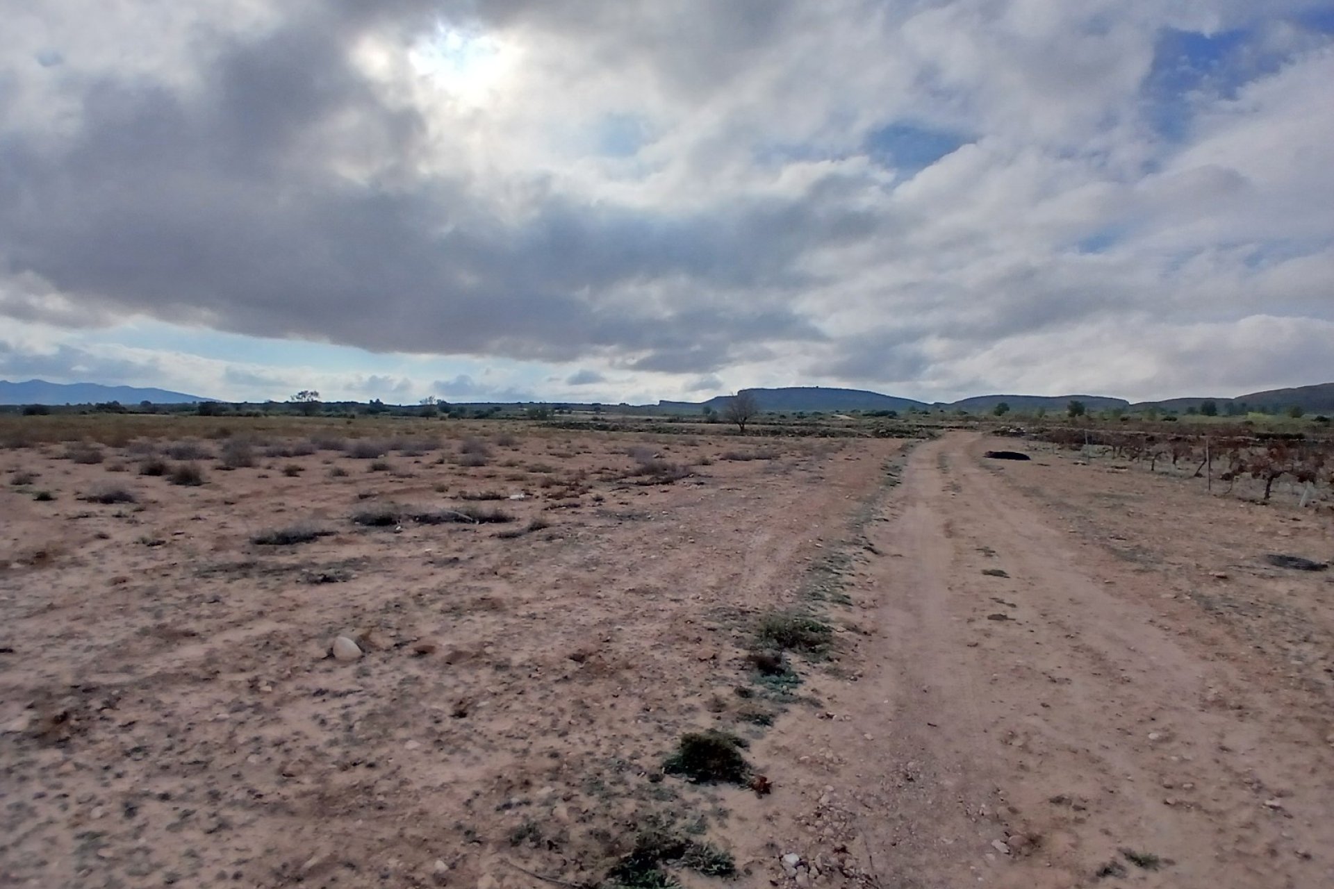 Herverkoop - Perceel / Grond - Yecla