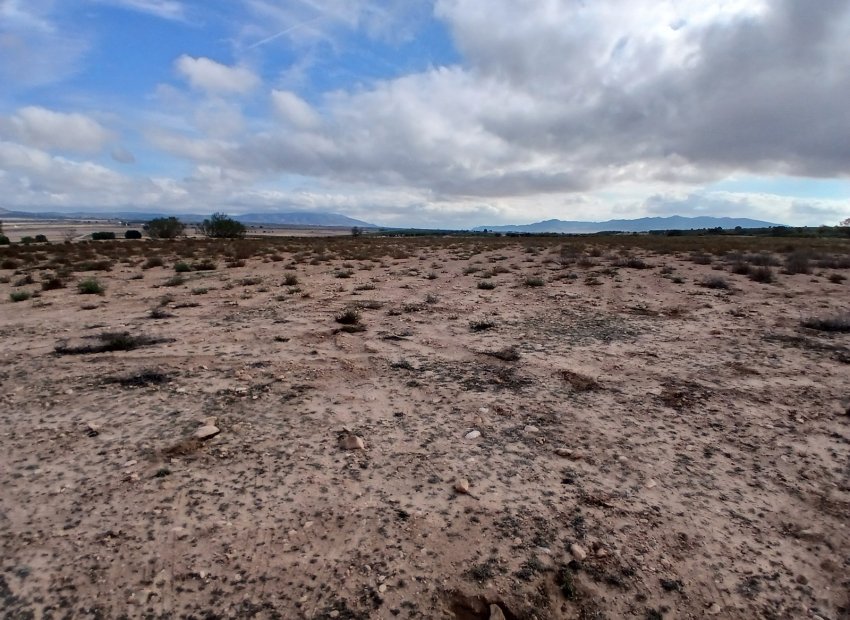 Herverkoop - Perceel / Grond - Yecla