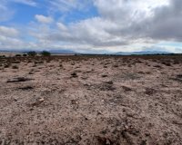 Herverkoop - Perceel / Grond - Yecla