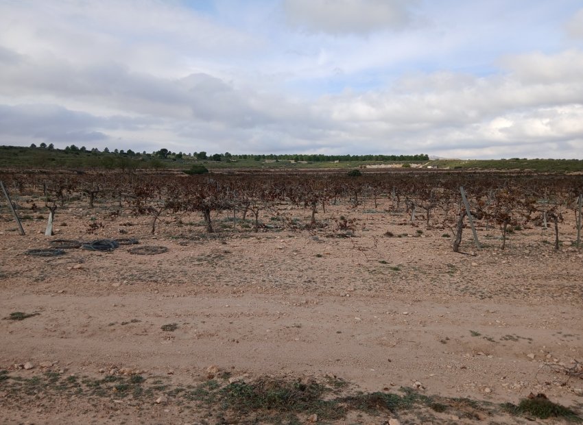 Herverkoop - Perceel / Grond - Yecla